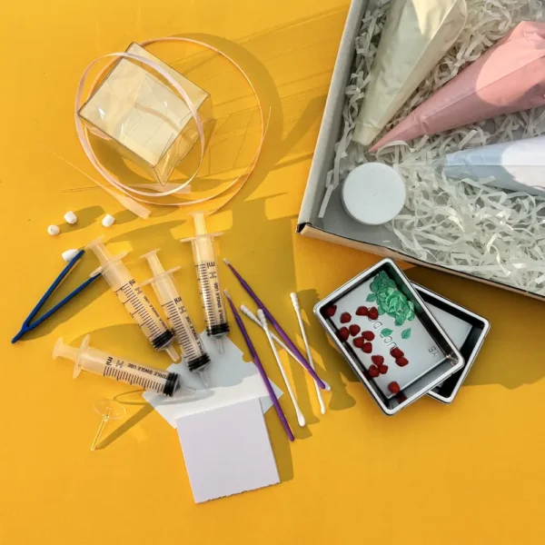 1 Air Dry Strawberry Clay Craft Set