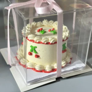 Miniature Cherry Cake Clay Kit
