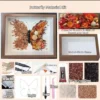 Handmade Butterfly Dried Flower Shadow Box Art, Preserved Floral Keepsake Frame