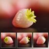 10 Miniature Strawberry, Polymer Clay Food Model, Dollhouse Decor