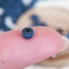 Miniature Blueberry Decor (10 pc): Polymer Clay Dollhouse Food