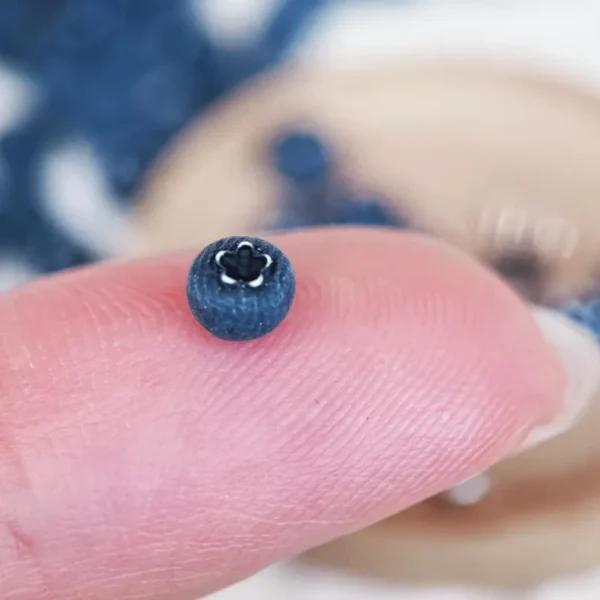 Miniature Blueberry Decor (10 pc): Polymer Clay Dollhouse Food