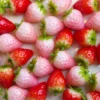 10 Miniature Strawberry, Polymer Clay Food Model, Dollhouse Decor