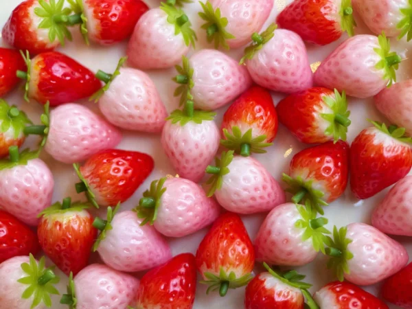 10 Miniature Strawberry, Polymer Clay Food Model, Dollhouse Decor