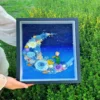 Le Petit Prince Preserved Flower Shadow Box DIY Kit